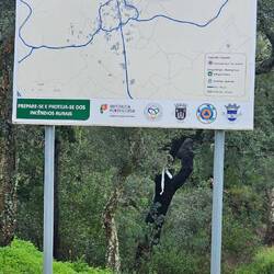 Evacuierungsplan für die Bewohner bei Waldbränden 🫣