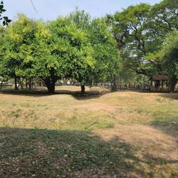 Massengrab für Tausende Menschen