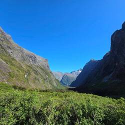 Rückfahrt nach Te Anau