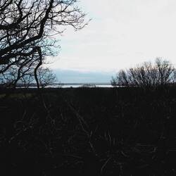 Filsø