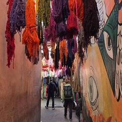 Färberviertel für Wolle