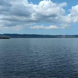 Le lac de Rotorua tout près du camping