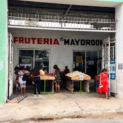 schöne Auslage Gemüse/Früchte