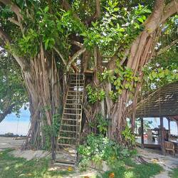 Fun little tree house for the kids.