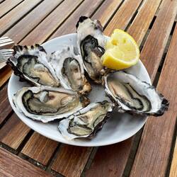 Freycinet Oysters