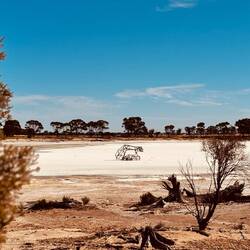 Das liebe ich ja in Australien – mitten in der Wildnis in einer Salzpfanne ein Kunstwerk...