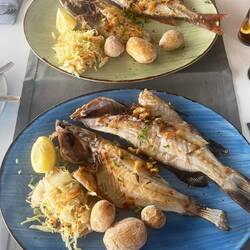 Gegrillter Fisch Dorade und Abae