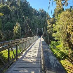 Lake Matheson Curcuit