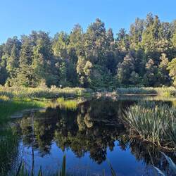 Wenigstens ein bisschen Reflection...
