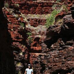 Weg zum Kermits Pool