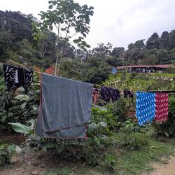 ... mehr Wäsche 😁