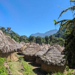 Indigenen Dorf (alles Natur Materialien)