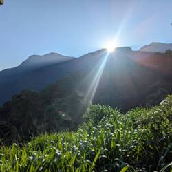 ... Morgens um 7 ist die Welt noch in Ordnung..