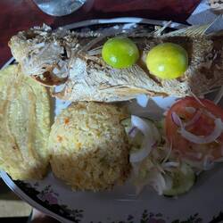 Reis 🍚 und Fisch 🐟😇