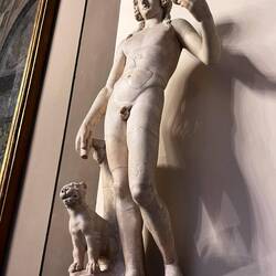 Cookie-seeking cat. No can do - only for dogs.