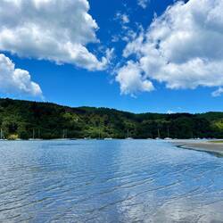Stranden i Whangamatā