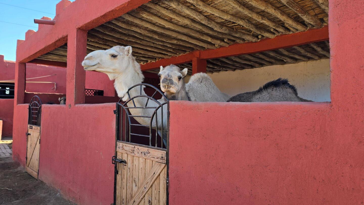 Auf dem Weg zum Hamam