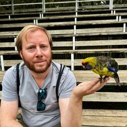 Guido hat einen Vogel