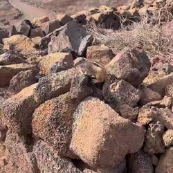 Schnell da & schnell wieder weg