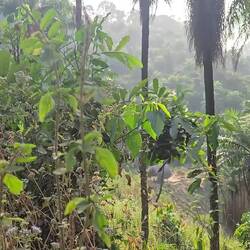 Ton an! Und gut hinhören.