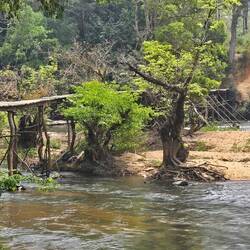Über die Holzbrücke ging's ans andere Ufer