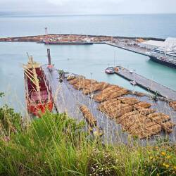 Napier: Bluff Hill Loockout