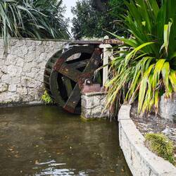Napier: Sunken Garden