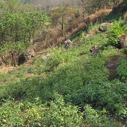 Der Abstieg war ziemlich steil...