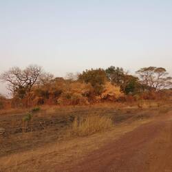 Ein schönes Farbenspiel bietet sich einem hier