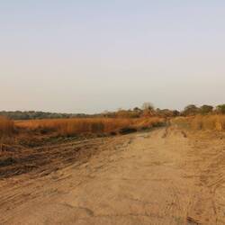 Es wird merklich trockener und die Landschaft geht in weite, offene Savanne über
