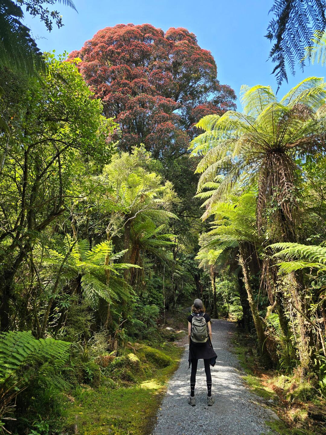 Auf zum Gletscher! 🤗