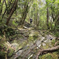 Manchmal echt beschwerlich...