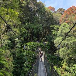 Eine von vier Swingbridges auf dem Weg