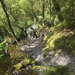 Zum Abschluss nochmal was zum Kraxeln