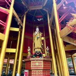 Oben links Wespennest oder so was...