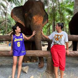 Das sind pensionierte Elefanten...