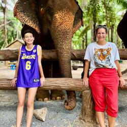 Die Elefanten waren frei... sie sind schon alle über 50 Jahre alt!