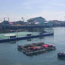 schwimmender Fußballplatz