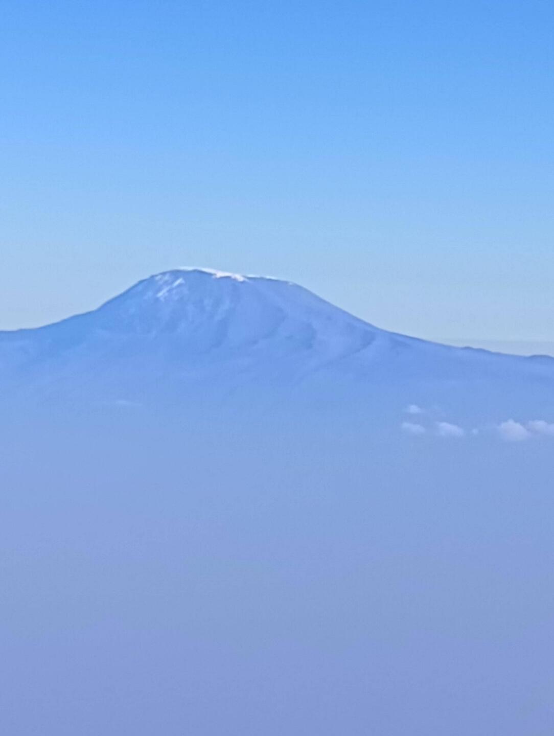 der Kilimanjaro