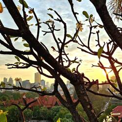 Blick beim Rooftop-Dinner