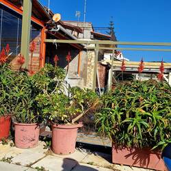 Alles sehr improvisiert - hält das auch??