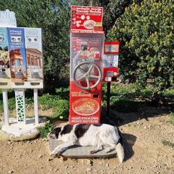 😂 Da ist es wohl besonders warm und gemütlich