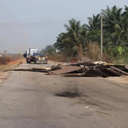 ... manchmal direkt die ganze Ladung