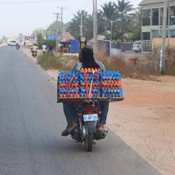 Die Eier schaffen es hingegen