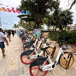 Fortschrittlich - aber die Leute benutzen alles Andere