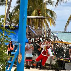 ein Fliegen hängen sie kopfüber - nach der Drehung bei der Landung