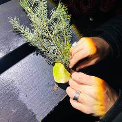 Unser Diebesgut wird zusammengebaut...