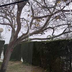 Auch hier gibt es mal Regentage 😏