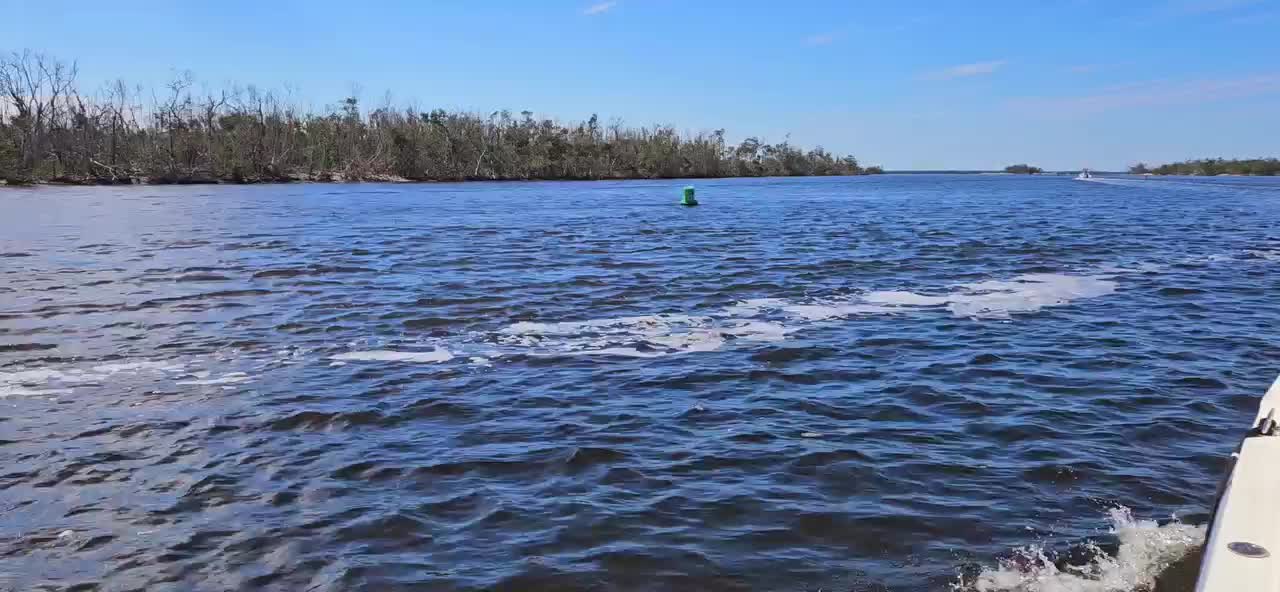 Manatee zones