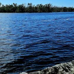 Manatee areas